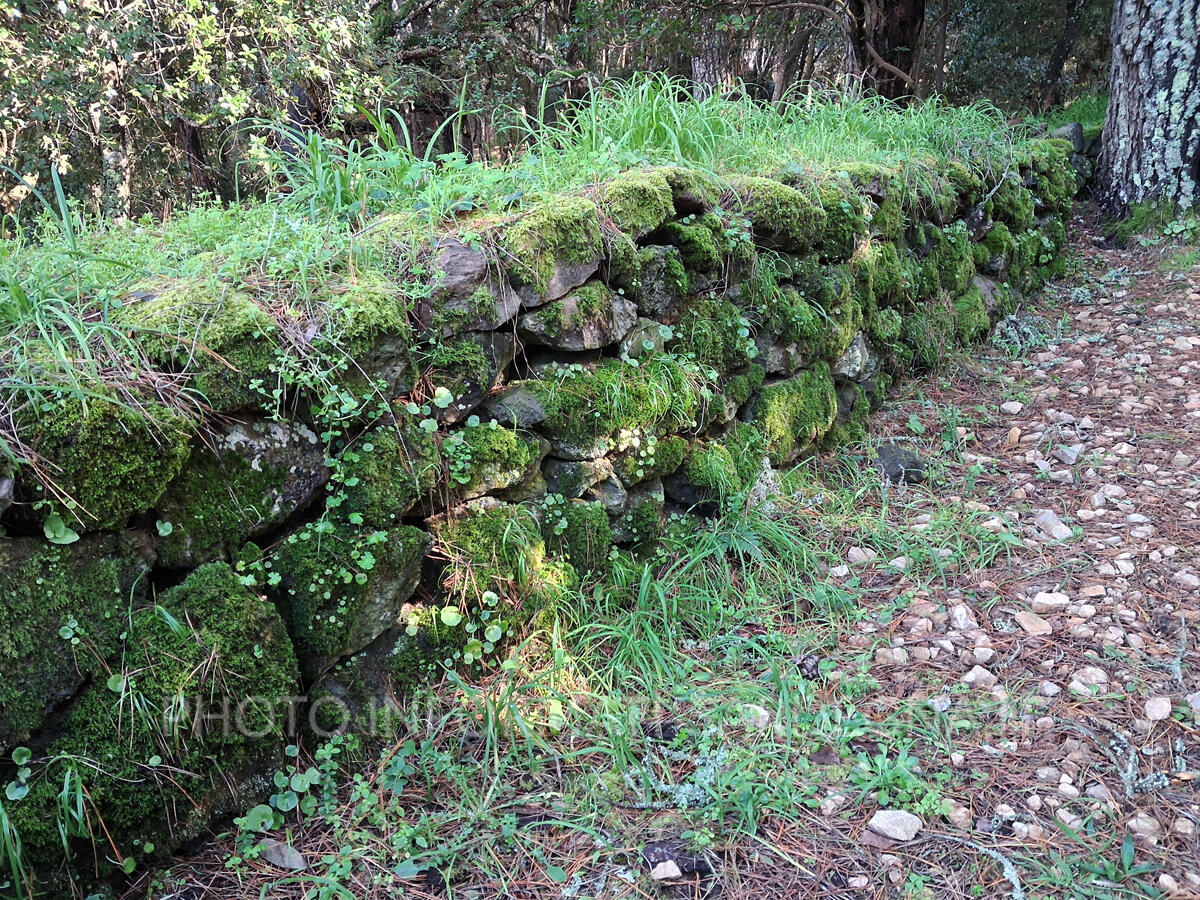 Muretto a secco nel Parco da Fiaba di Pau