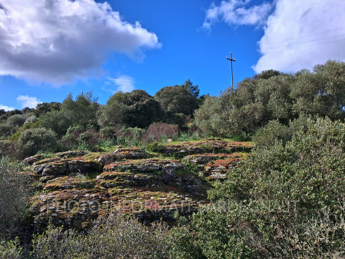 Il Belvedere dal Bosco da Fiaba di Pau
