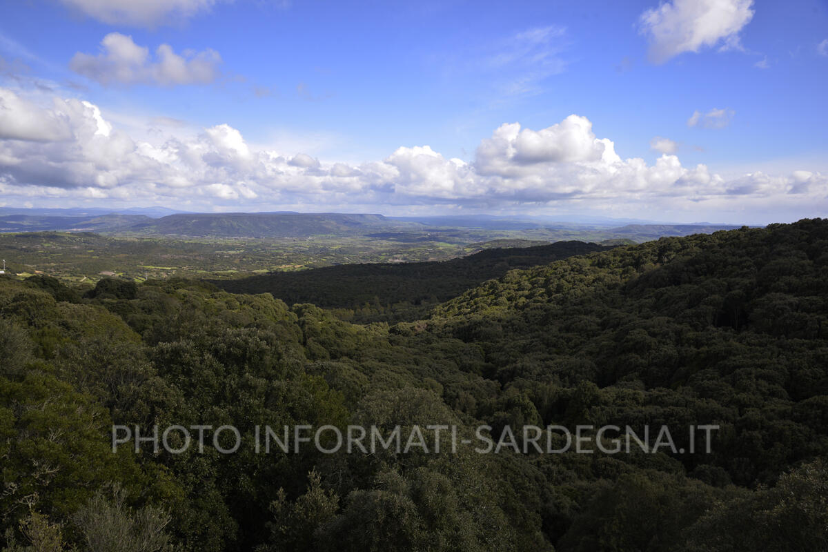 Il Belvedere dal Bosco da Fiaba di Pau