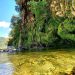 Foresta di Corongia: patrimonio naturalistico di Gadoni