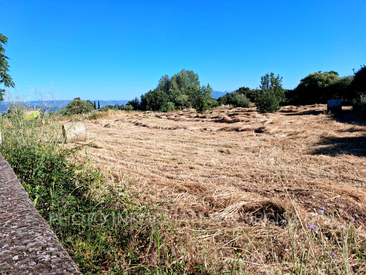terreno agricolo in Sardegna: giugno